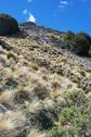 #4: Looking northeast and up to the spur above.