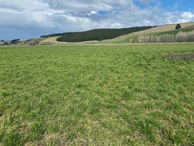 #4: View South
