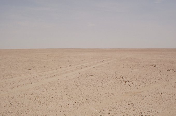 Looking South from the Confluence Point