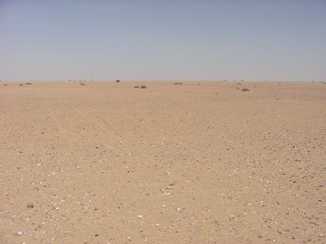 View North