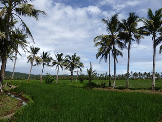 #1: The Confluence from 10 m distance