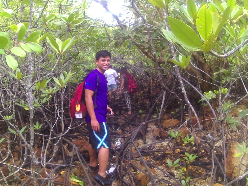 Mangrove forest near confluence site