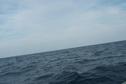 #4: Looking East