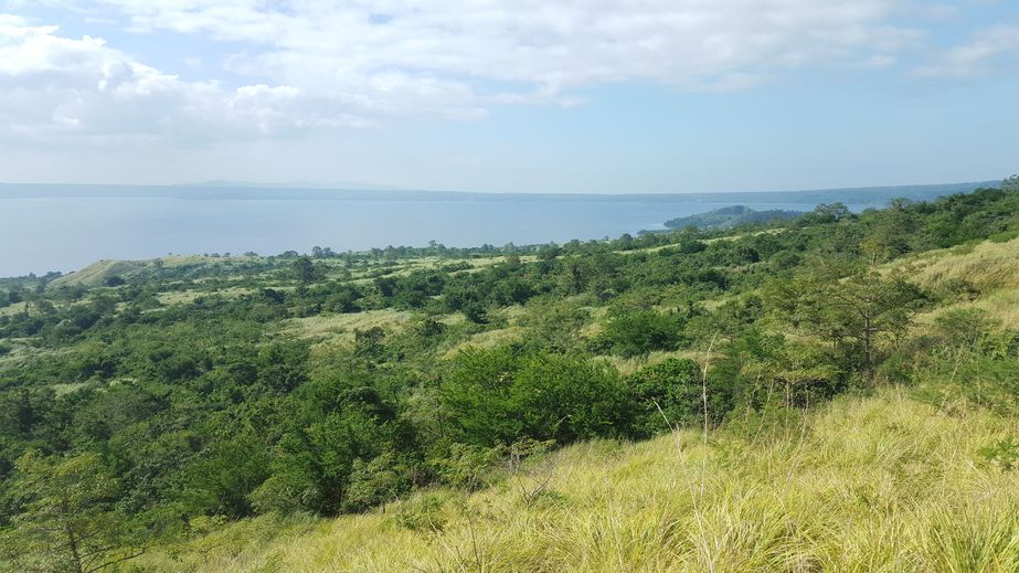 The confluence is 30 m away in the bottom of a ravine with very dense vegetation