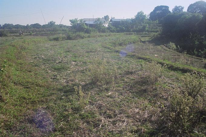 General area shot looking SW with the Santos' house in the background.