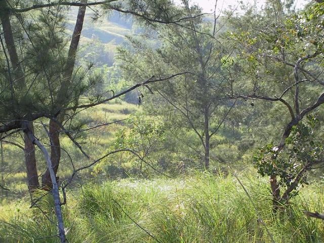 View of confluence area, taken approximately 50 meters from confluence point