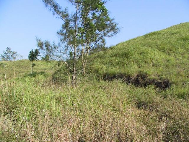 Photo taken facing due East of the confluence area