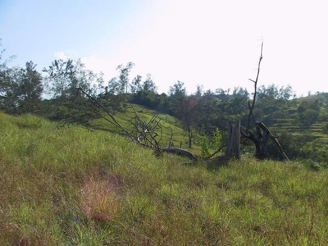 Photo taken facing due South of the confluence area