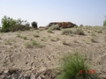 #3: Looking south from confluence point