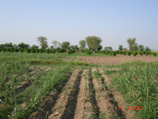 #1: Looking north from confluence point