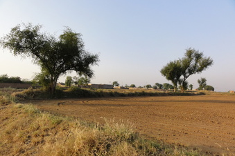 #1: General view of Confluence