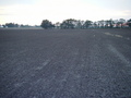 #5: West