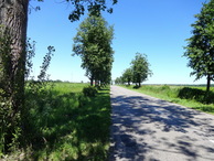 #10: Road to CP / Дорога к точке