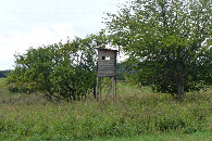 #11: Budka myśliwska pod drzewami około 25 metrów od punktu / Hunting lodge under the trees about 25 meters from the CP