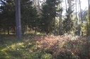 #2: View to the south