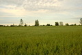 53°N 23°E preview image