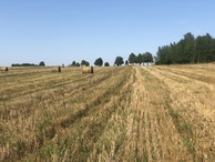 #4: View to the North