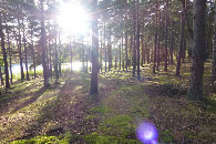 #5: Widok w kierunku W / West view