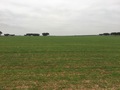 #3: View to the East