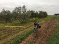 #9: Bicycle parking at the roadside