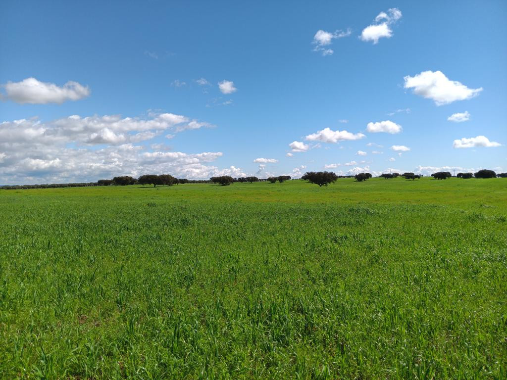 Osten; view east