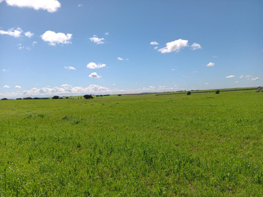 Süden; view south