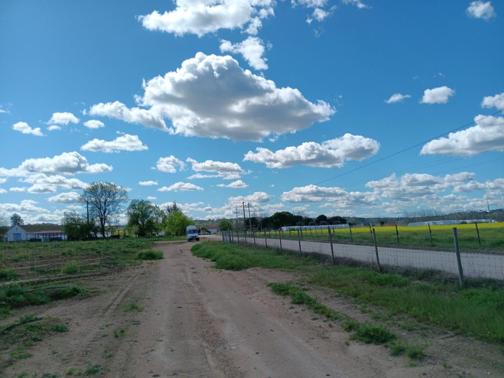 parking with fence on way back