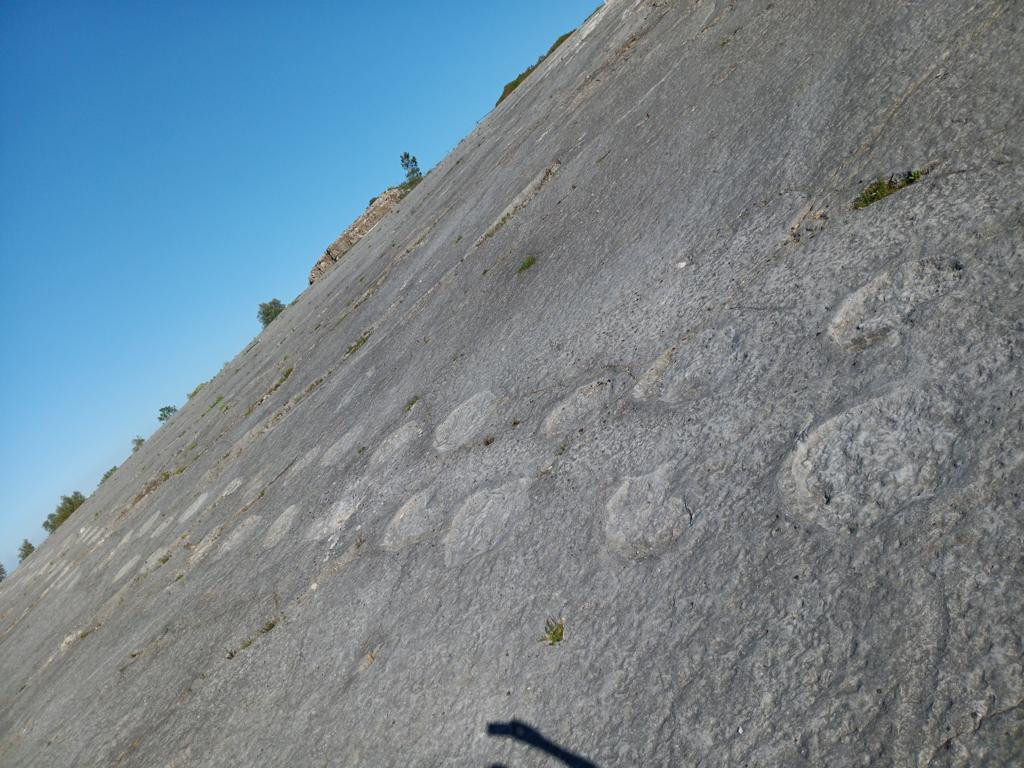 Ourem, Dinotraces - close up