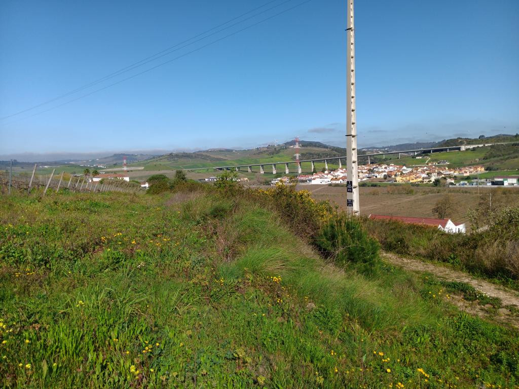 at turning point - left wineyard and CP, right track