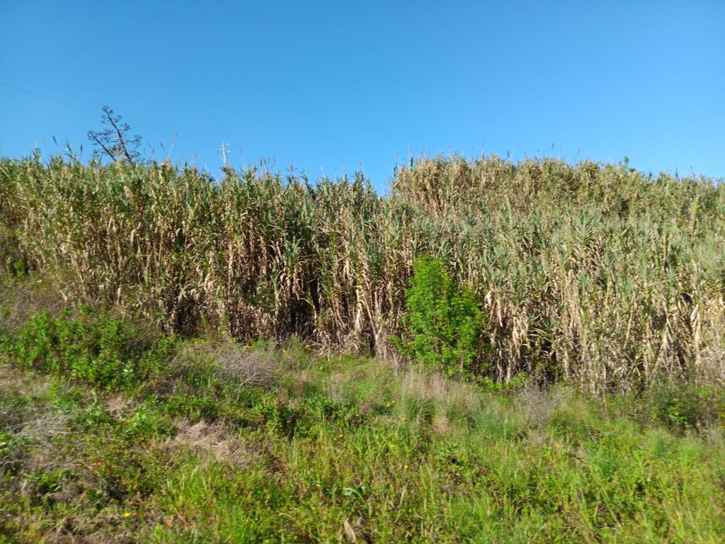 CP from approx. 25 meters