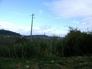 #1: Looking East at the CP