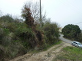 #4: View East