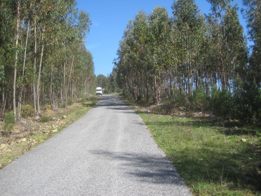 parking on way back