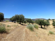 #12: A road at the beginning of our hike / Дорога вначале нашего пути