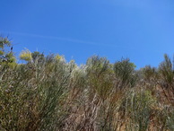 #3: East view