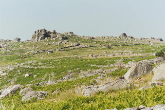#1: The area of the confluence (near the centre of the picture)
