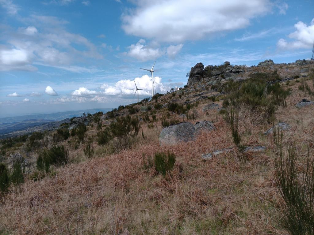Norden; view north
