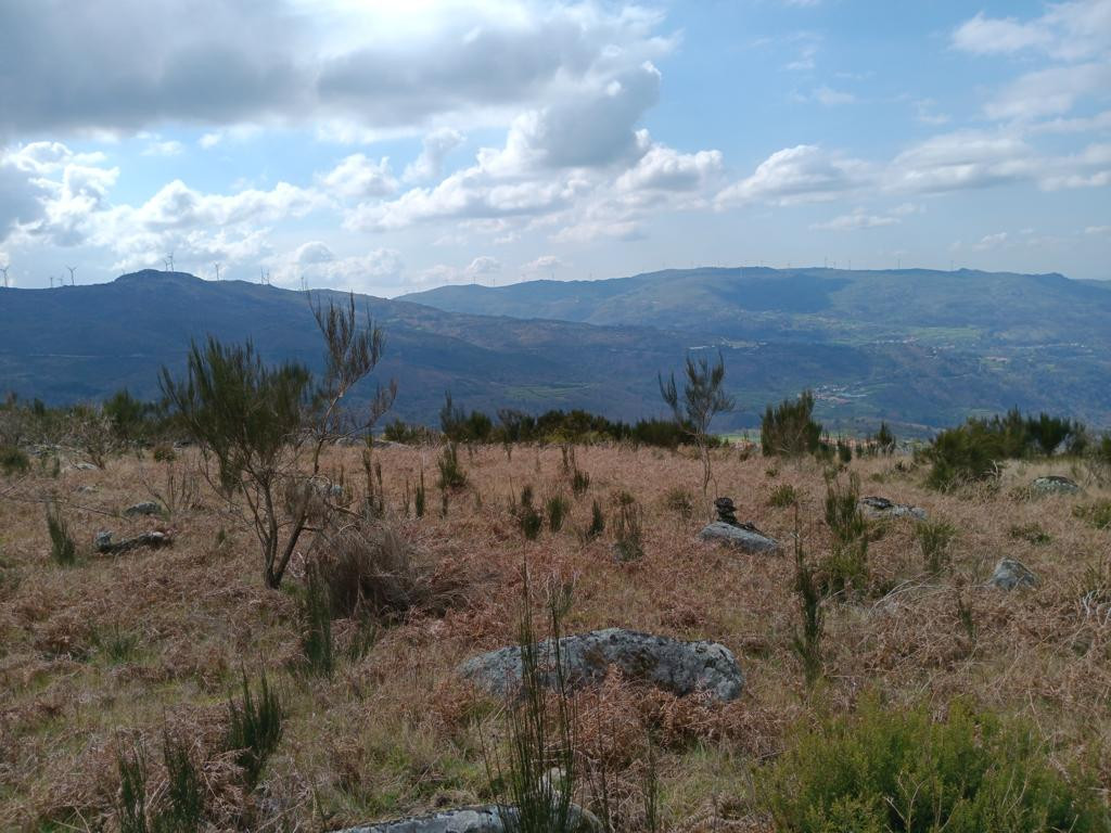 Westen; view west