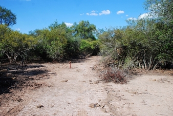 #1: A 100 mts de la Confluencia. At 100 m from CP