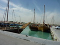 #8: Dhows in the old port