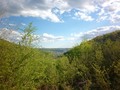 #3: South