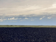 #4: SOUTH