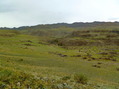 #4: North-west view