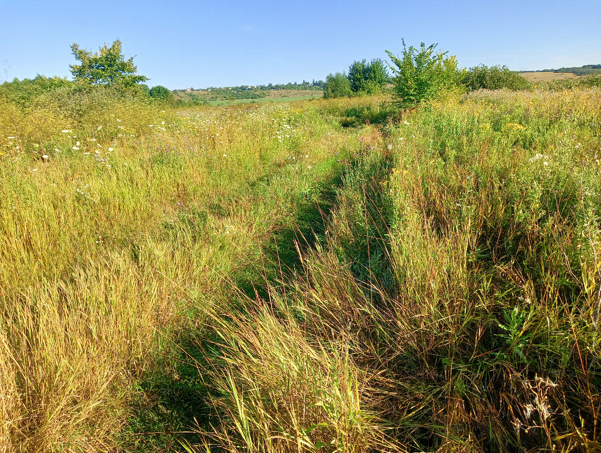 Unvisible path