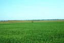 #2: North view
