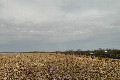 54°N 38°E preview image