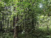 #4: View to the North
