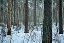 #3: East view