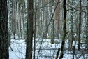 #4: South view