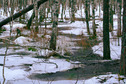 #9: Pools around CP / Лужи вокруг конфлюенции
